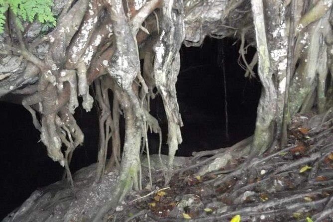 Window Cave Walking Tour from San Juan - Entering Cueva Ventana: flashlight exploration and cave life