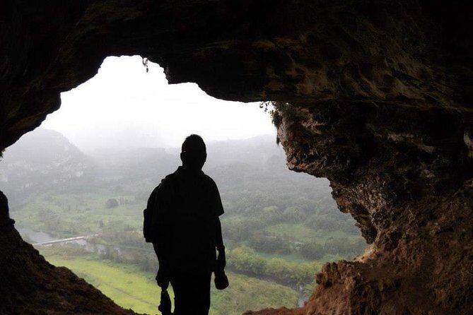Window Cave Walking Tour from San Juan - What your guide teaches: cave formation, biodiversity, and origins