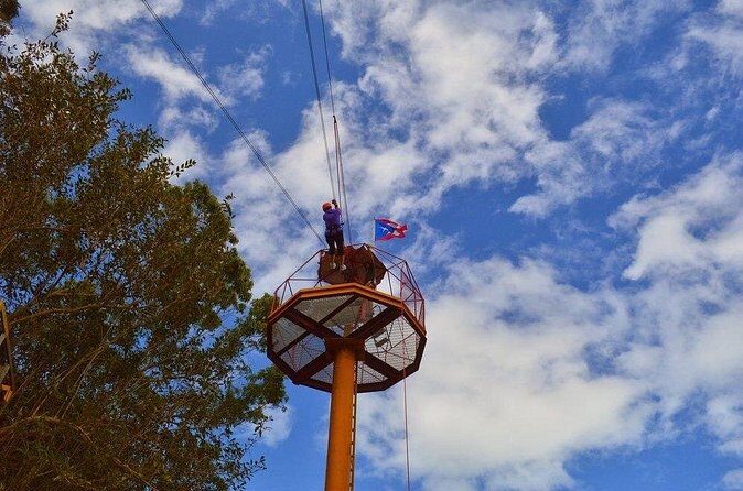 Zipline Canopy Tour with Transport from San Juan - Safety and equipment: the stuff you want to hear before you go